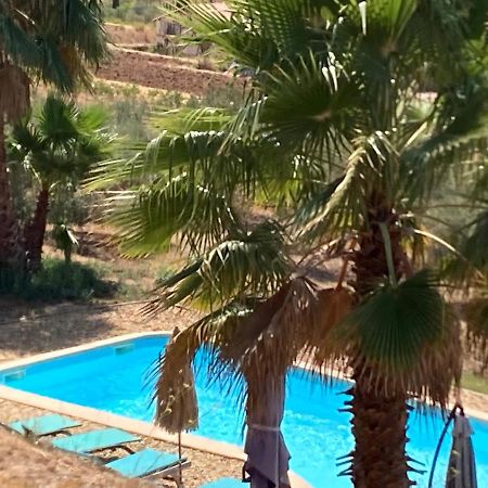 לה באסט La Venturonne Appartement Neuf Rez De Jardin 45 M2 Vue Mer Et Vignes 10 Mn Des Plages מראה חיצוני תמונה